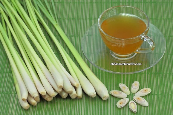 Citronelle sur set de table et tasse