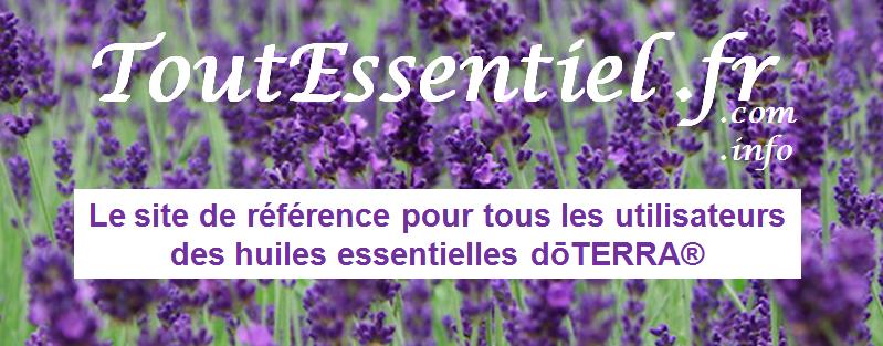 ToutEssentiel.fr le site de r�f�rence pour tous les utilisateur