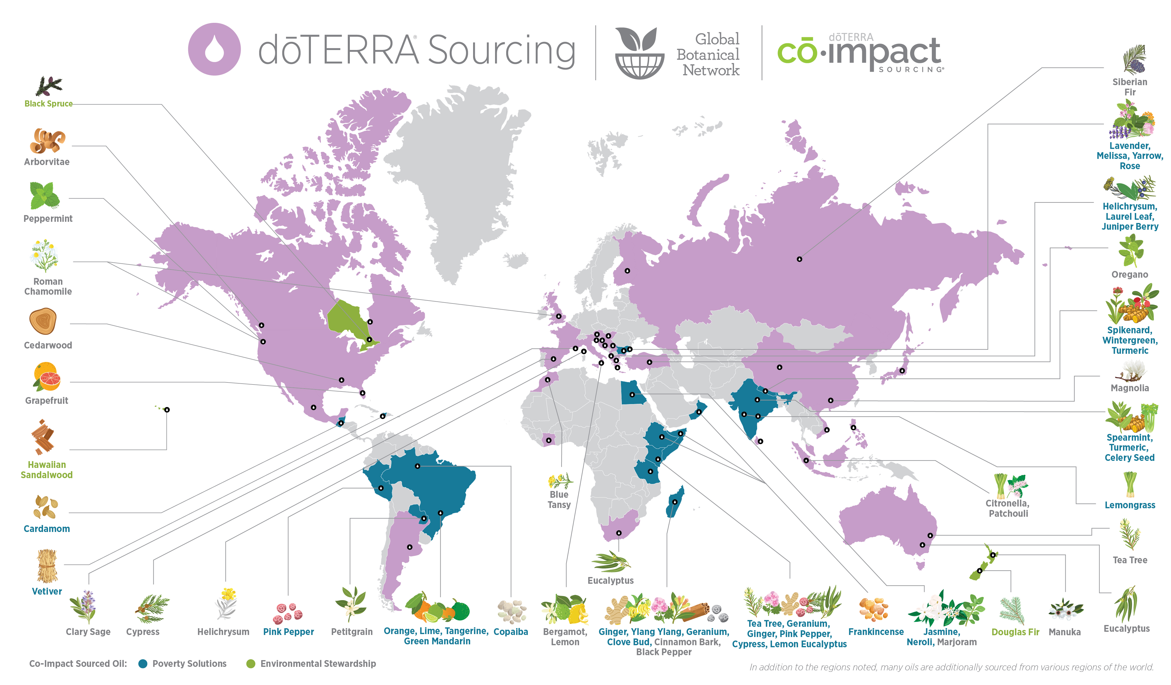 sourcing-global-botanical-network à jour 2019